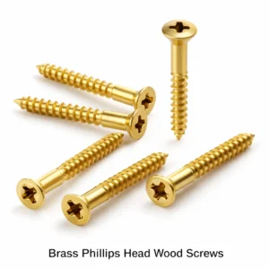 Phillips Head Wood Screws in Brass